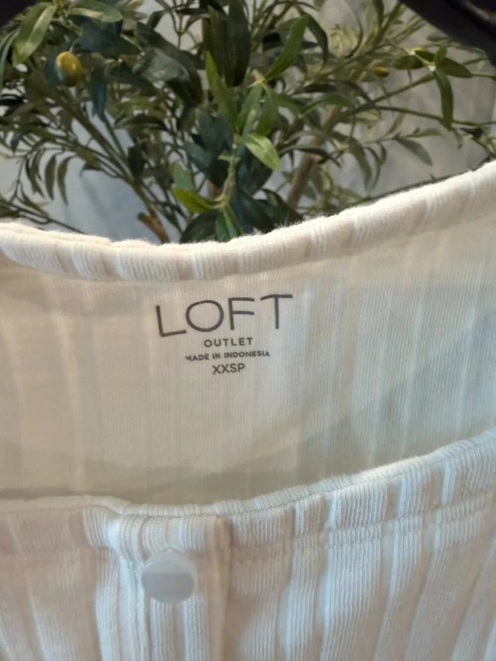 Loft Shirt